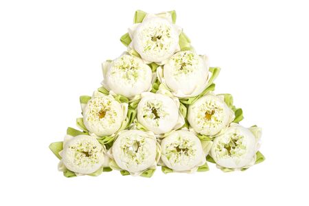 White lilies are combined into a wall on a white background.の写真素材