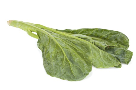 Kale on a white background.