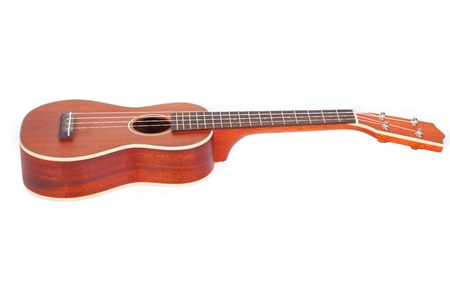 Ukulele player on a white background.