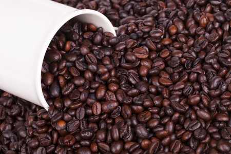 Coffee is an important meal snack or breakfast.