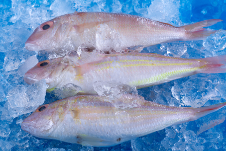 Fresh fish on ice.