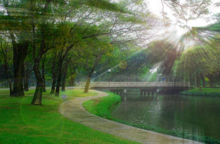 pathway beside the canal in the green park under the blurred light