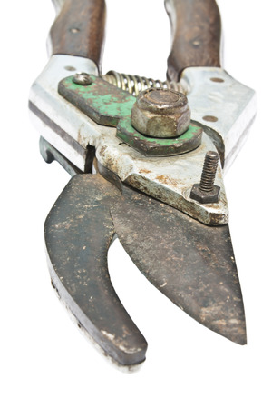 Pruning Shearsの写真素材