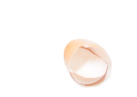 eggshell