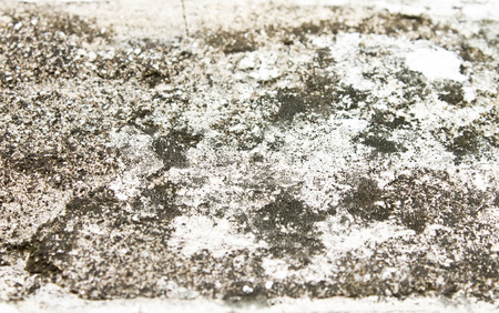 dirty floorの写真素材