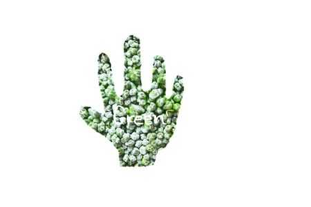 Broccoli, draw hand shapeの写真素材