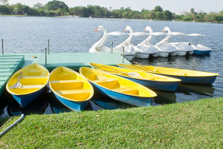 swan pedal boat in the parkの写真素材