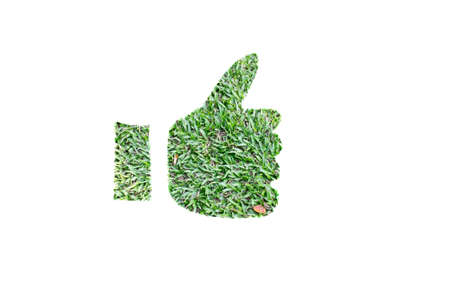 Like symbol grass isolated on white backgroundの写真素材