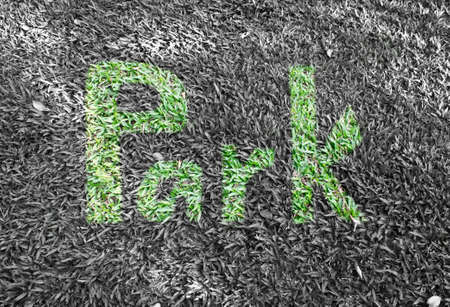Park write made of grass texturedの写真素材
