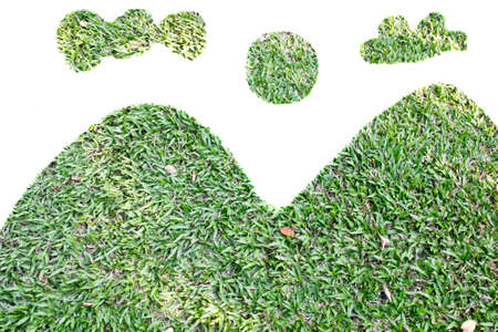 mountain grass isolated on white backgroundの写真素材