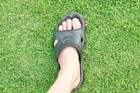 Foot on grasses backgroundの写真素材