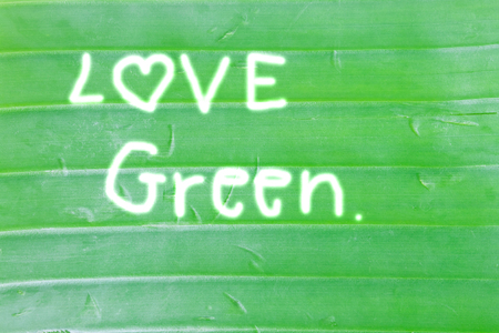 Banana leaf background, Banana leaf write love greenの写真素材