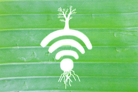 Wifi symbol, Banana leaf draw tree on wifi symbolの写真素材