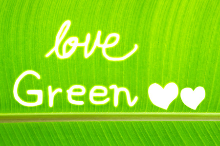 Banana leaf write Love Greenの写真素材