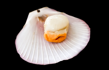 shellfish, seafood isolated on black background