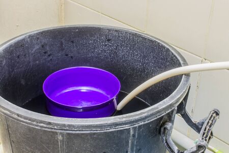 Thai water bowl in big bucket of water, Violet bowlの写真素材