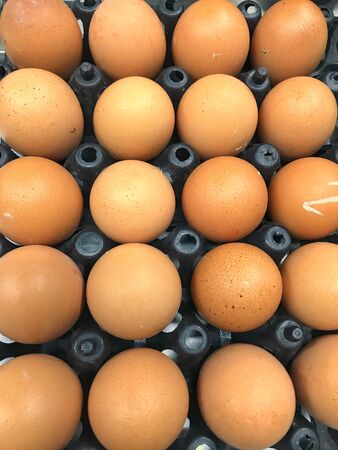 Close up fresh eggs in panel