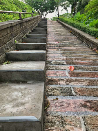 Concrete Stair Steps with stone wall in gardenの写真素材