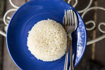 one dish of cooked rice,shallow focusの写真素材
