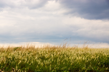 nature scene of rural area in Chiangrai,Thailandの写真素材
