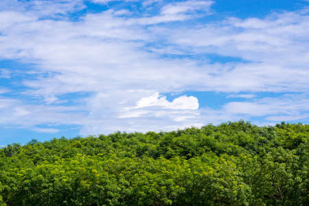 nature scene of rural area in Chiangrai,Thailandの写真素材