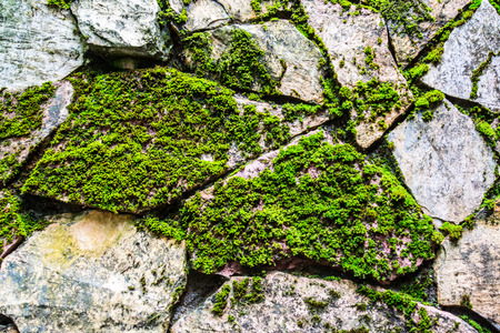natural stone that arranged in shape of wall or floor in gardenの写真素材