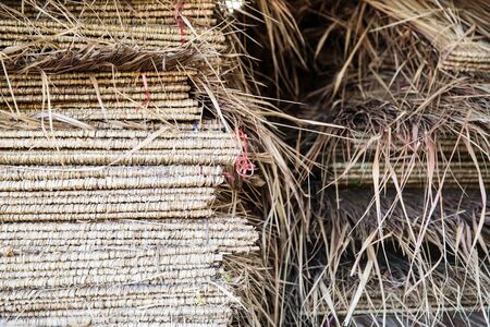 thatch