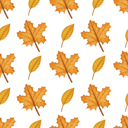Watercolor Autumn leaves seamless patternsの写真素材