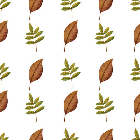 Watercolor Autumn leaves seamless patternsの写真素材