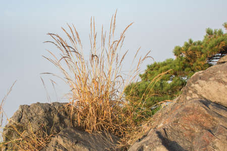 fog and cloud mountain valley landscape, in Seoul, South Korea.の写真素材