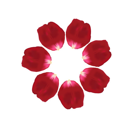 Red rose petalsのイラスト素材