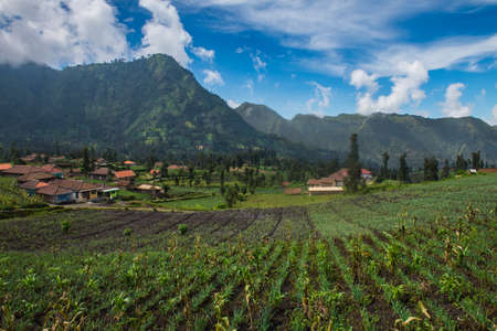 Harvesting Mountainの写真素材