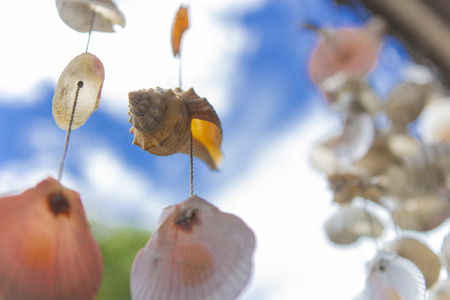 Mobile Shellfish on blue sly backgroundの写真素材