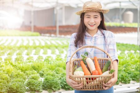 Female farmers carrying baskets, vegetable gardens Smile happily in a hydroponic vegetable growing house.の写真素材