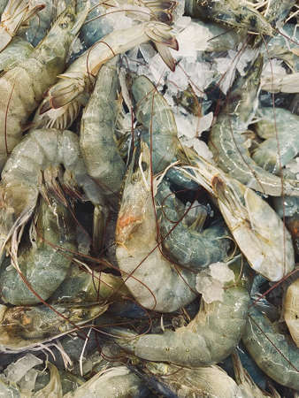 Seafood shrimp is a popular food that people eat in a variety of menus, including boiled, grilled and stir-fried.の写真素材