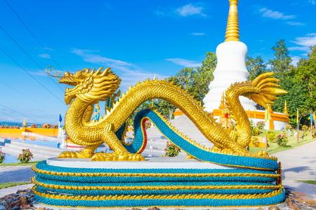 Asian dragonの写真素材