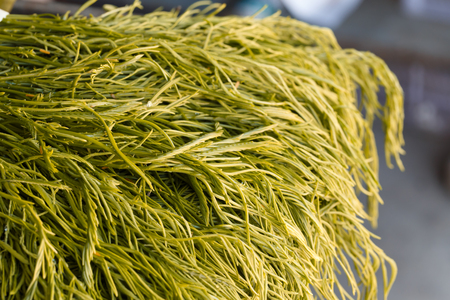 Cha vegetablesの写真素材
