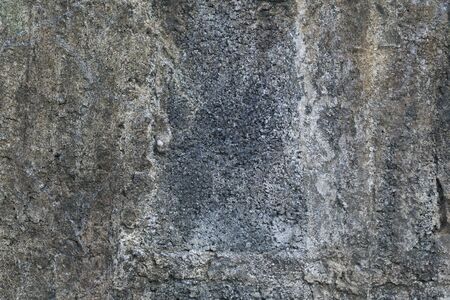 cement floorの写真素材