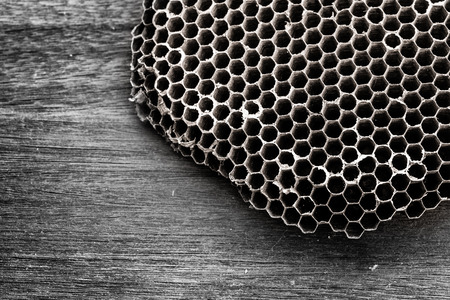 Closeup   honeycomb on a wooden backgroundの写真素材