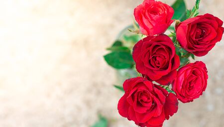 Top view of the red rose on blurred background detail art Valentineの写真素材