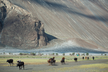 View of  Mountain Range Landscape, Leh Ladakh , Indiaのeditorial素材