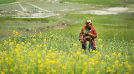 Leh Ladakh , India - August 9 : Unidentified  old women smiling  in leh market 9, 2015のeditorial素材