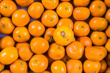 Organic oranges background on marketの写真素材