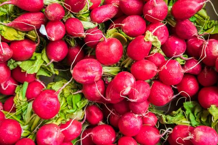 Organic radishes background on marketの写真素材