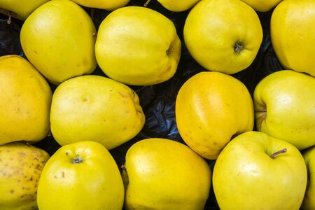 Organic apples background on marketの写真素材