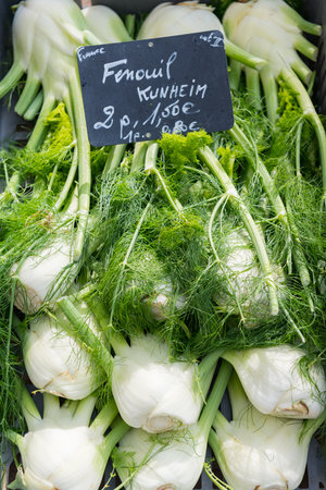 Fennel in the marketの写真素材