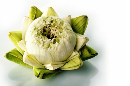 A white lotus and water drop with isolated white background.の写真素材