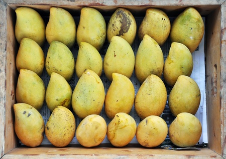 Top view of many mangoes in wooden box.の写真素材