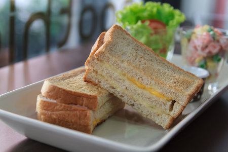 toasted ham and cheese sandwich