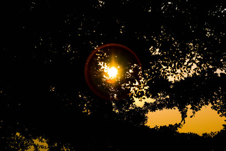 Secluded sunsetの写真素材